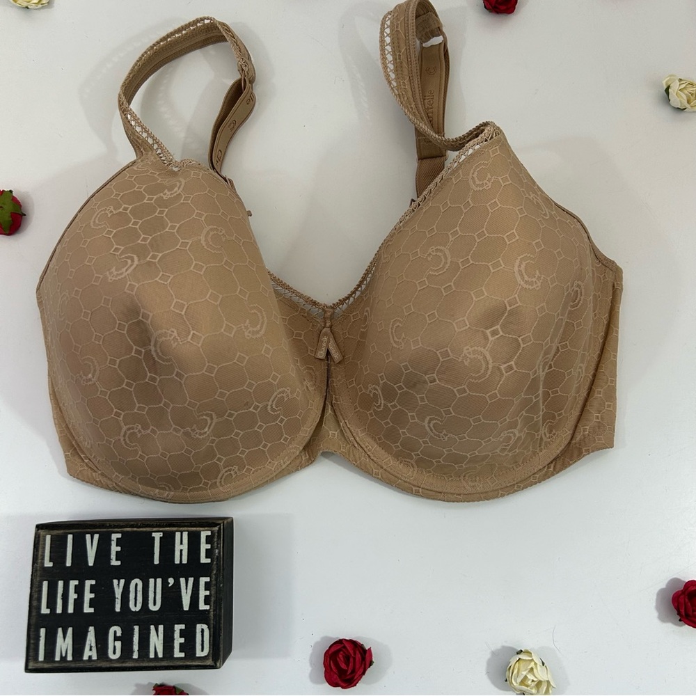 Chantelle Smooth Support T-Shirt Bra 36DDDD/G